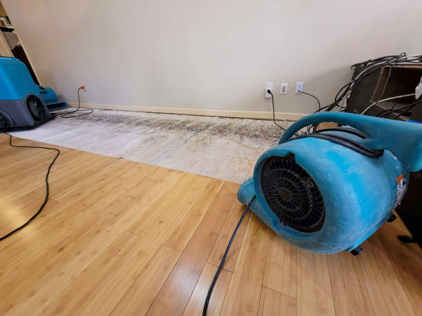 Professional Water Damage Repair technician working in Champlin, MN